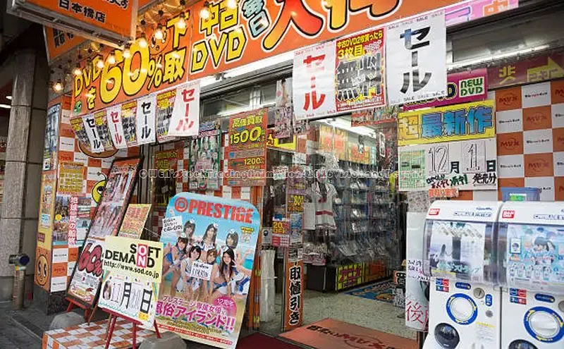 赏金国际app官方网站
